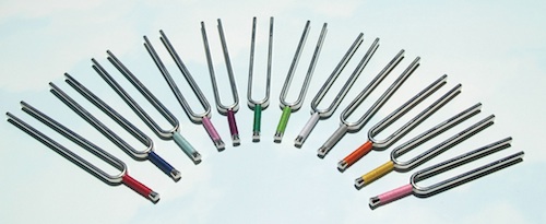 Fabien Mamans Classical Tuning Forks® - Major Organs 