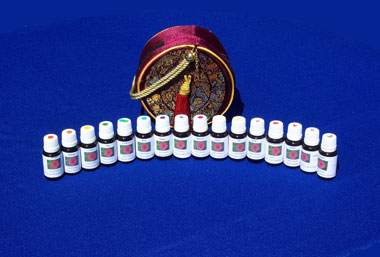 Faery Essentials - Universal Pack (16 Pack with pouch) 