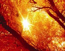 Seasonal Harmonizing Chimes - Large - Autumn 